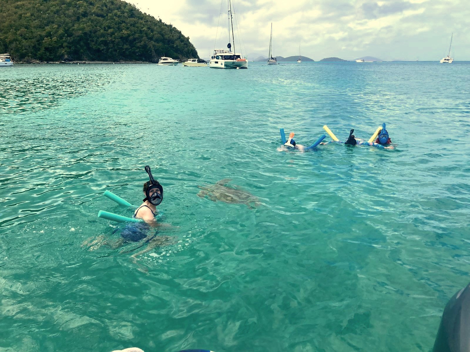 Guests snorkeling in clear turquoise water at an anchored beach stop in the USVI