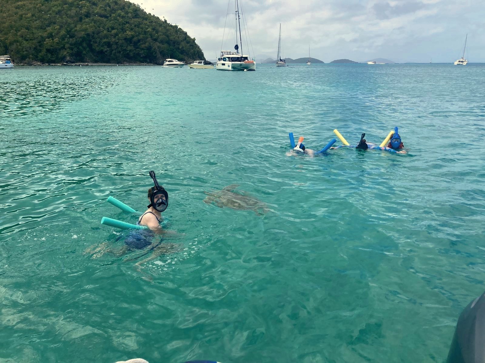 A snorkeler swimming alongside a sea turtle in clear Virgin Islands water